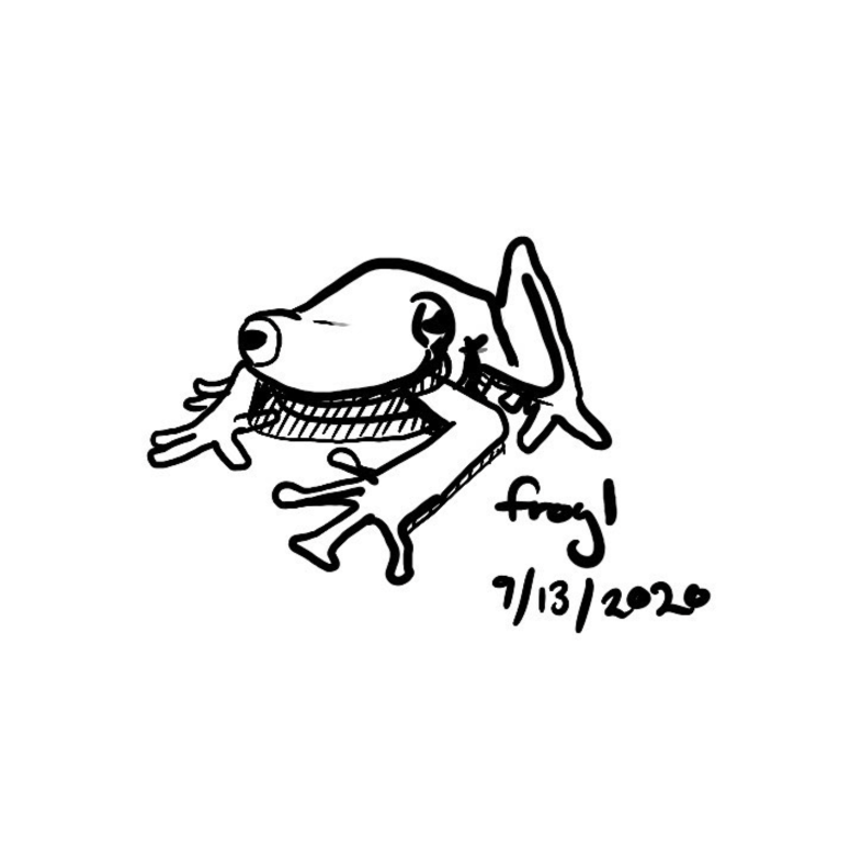 An inky drawing of a small treefrog.